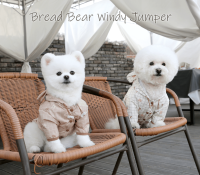 Bear Windy Jumper Raincoat – Stylish & Weatherproo..